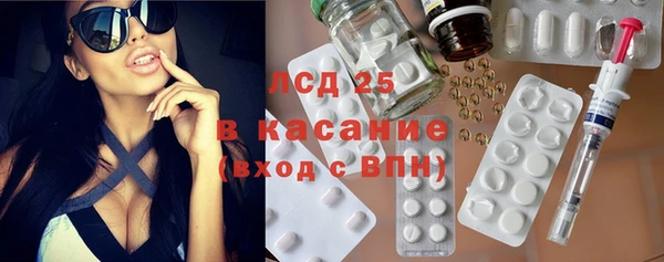 крисы Новозыбков