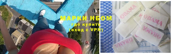 тгк Новодвинск