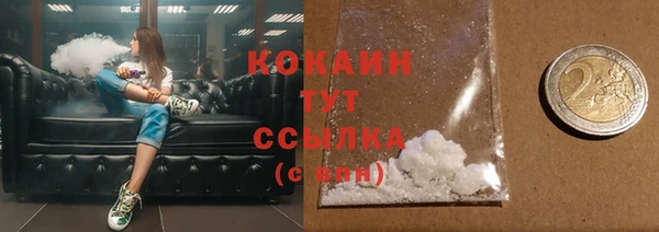 крисы Новозыбков