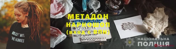 крисы Новозыбков