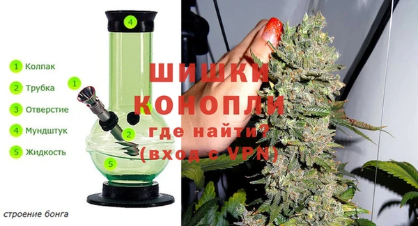 тгк Новодвинск