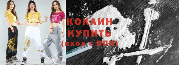 крисы Новозыбков