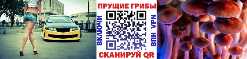 blacksprut ТОР  Дивногорск  Галлюциногенные грибы Magic Shrooms  где купить  